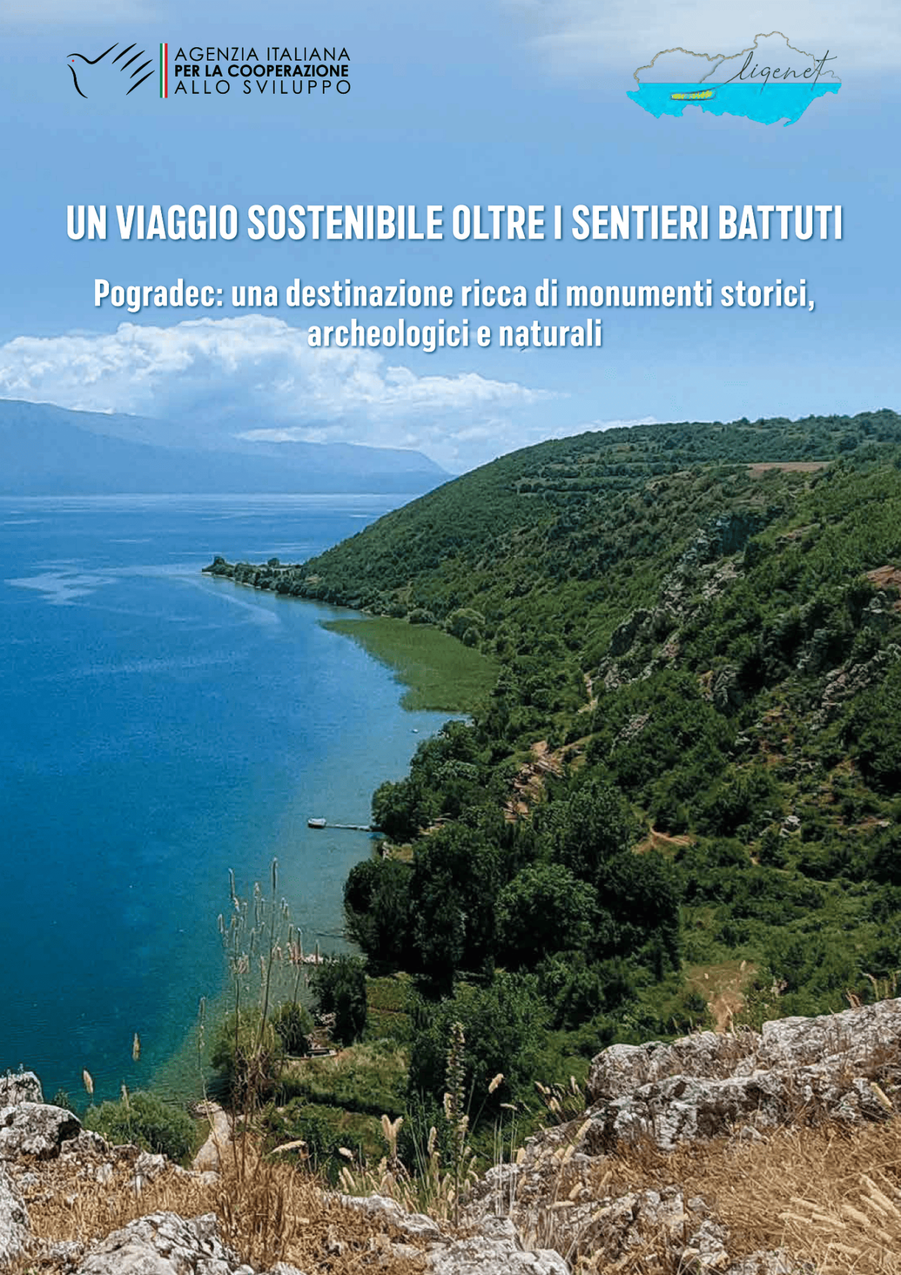 AICS Sostenibilità (1)