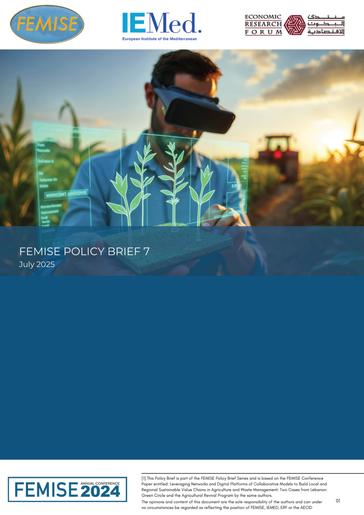 Femise policy brief